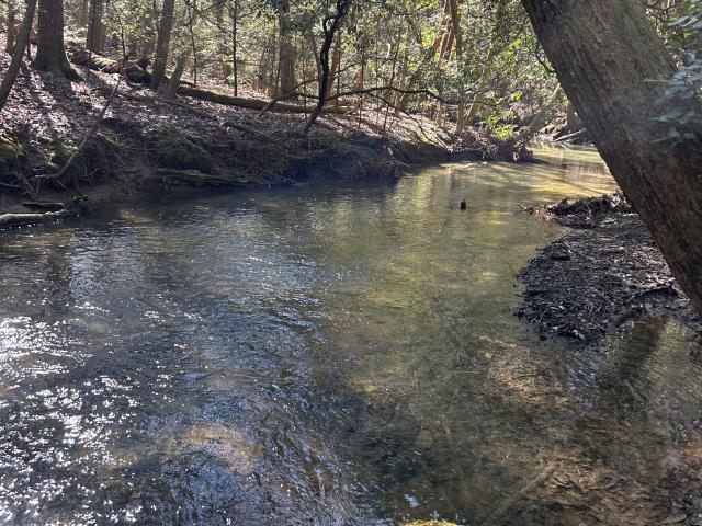 Land for sale in Tennessee