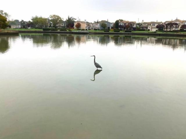 House for sale in Belmont, San Mateo County