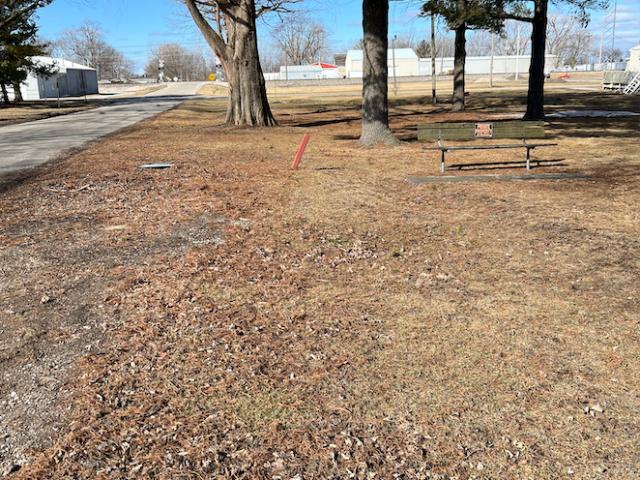 Land for sale in Mansfield, Illinois