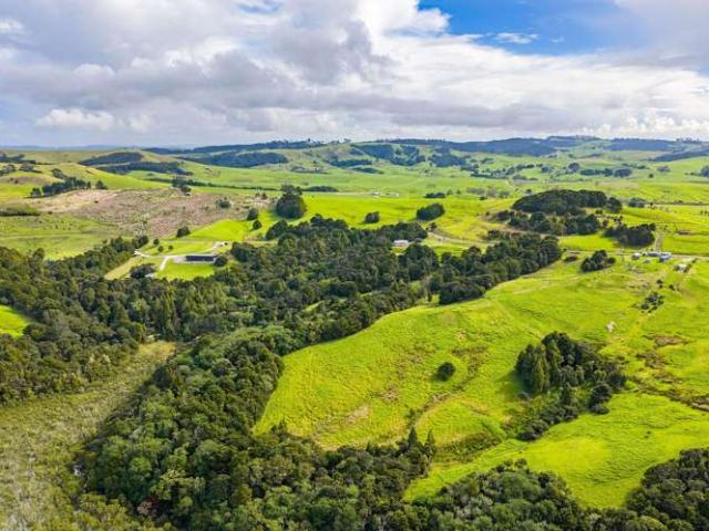 Property for sale in Tinopai, Northland