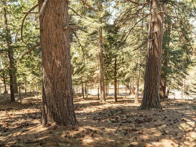 Land for sale in Green Valley Lake, California