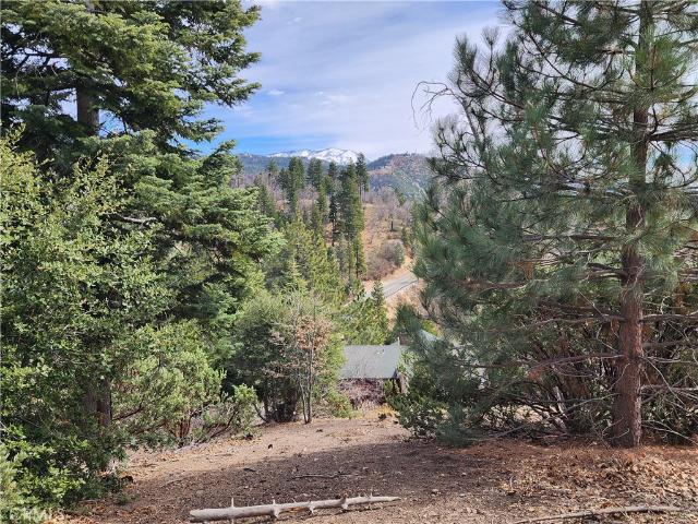 Land for sale in Green Valley Lake, California