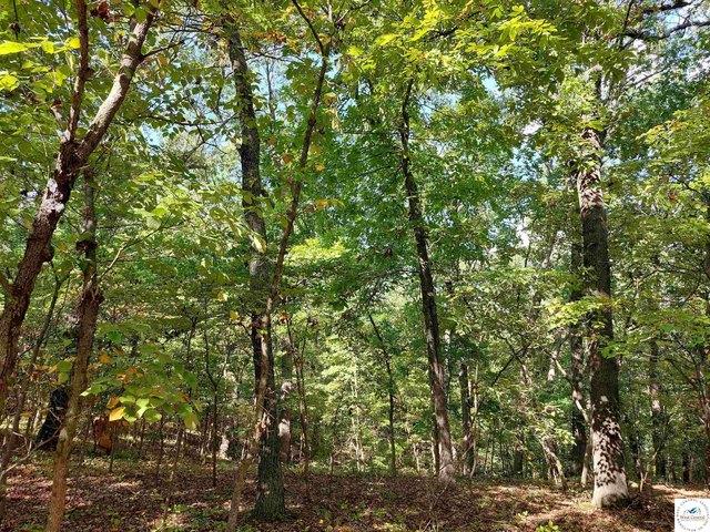 Land for sale in Stover, Missouri