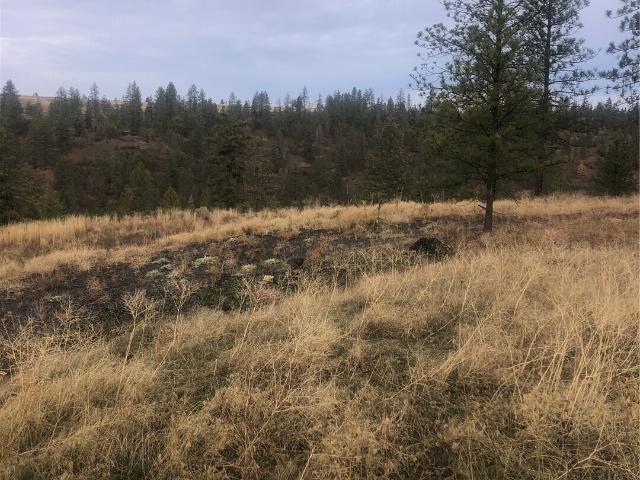 Land for sale in Davenport, Washington