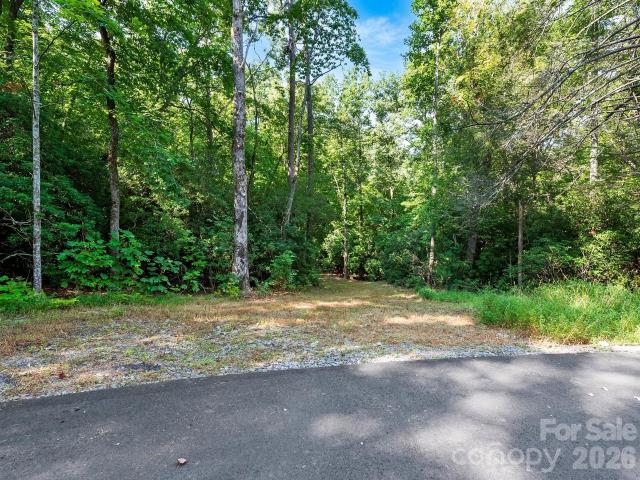 Land for sale in Fairview, North Carolina