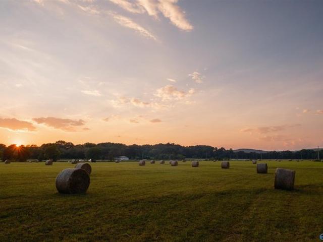 Farm for sale in Gurley, Alabama