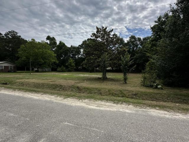 Land for sale in Bladenboro, North Carolina