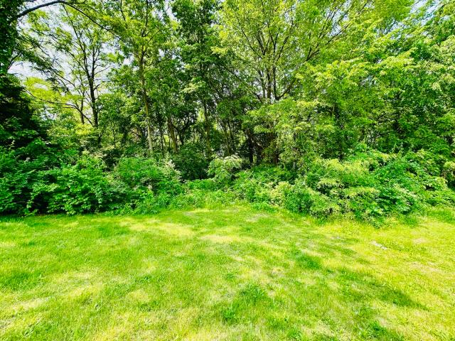 Land for sale in Peru, Illinois