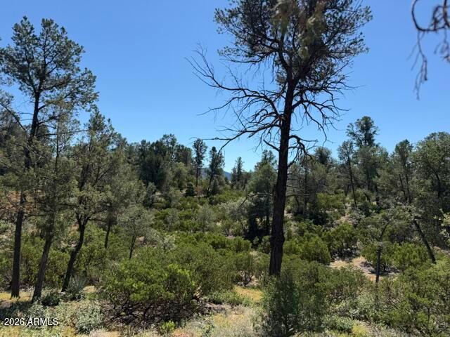 Land for sale in Payson, Gila County