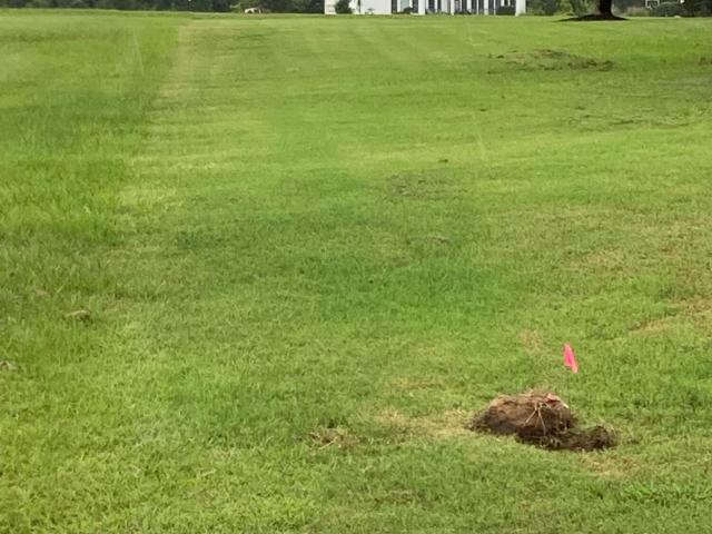 Land for sale in Edenton, North Carolina