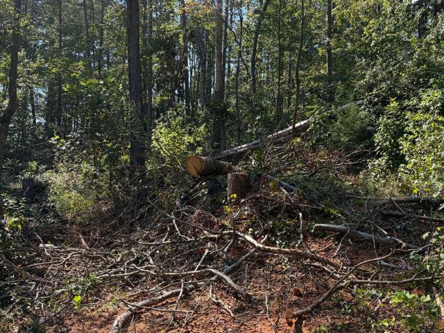 Land for sale in Martin, Stephens County