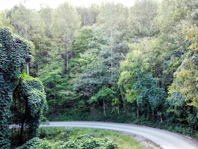 Land for sale in Barbourville, Kentucky
