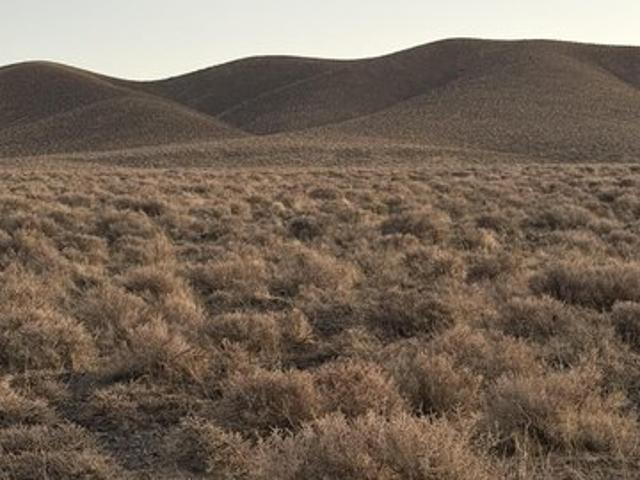 Land for sale in Fernley, Nevada