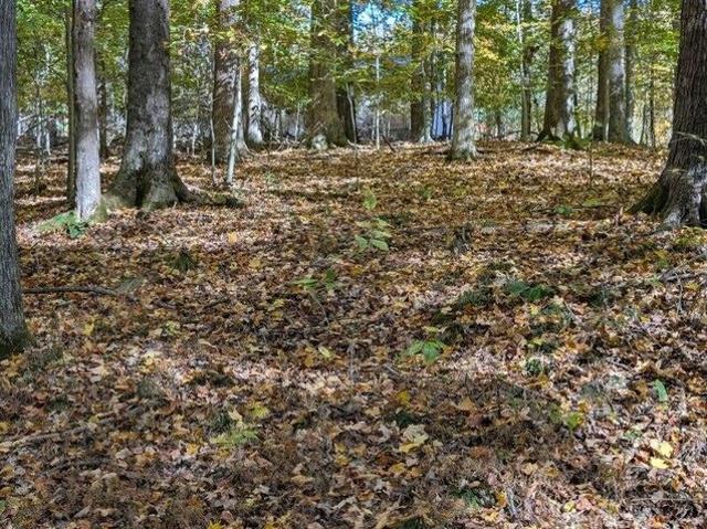 Land for sale in Monticello, Kentucky