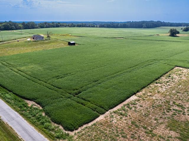 Land for sale in Tennessee