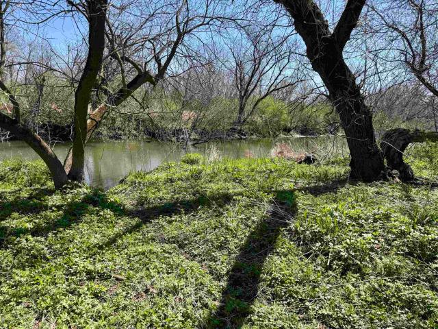 Land for sale in Wisconsin