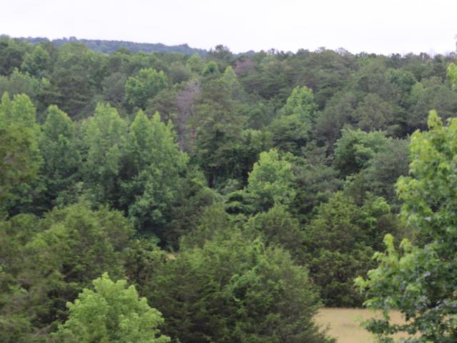 Land for sale in Valley Head, Alabama