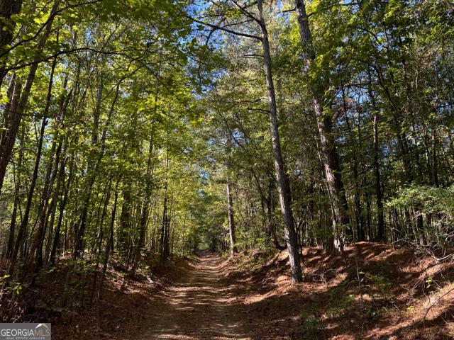 Land for sale in Spalding, Georgia