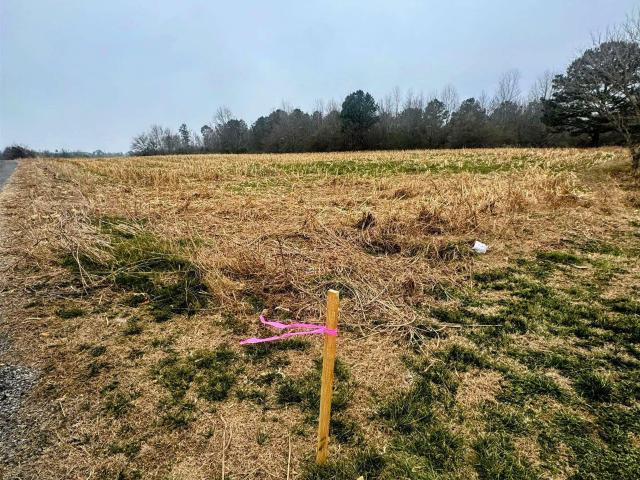 Land for sale in Section, Jackson County