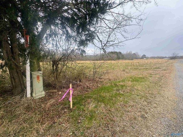Land for sale in Section, Alabama