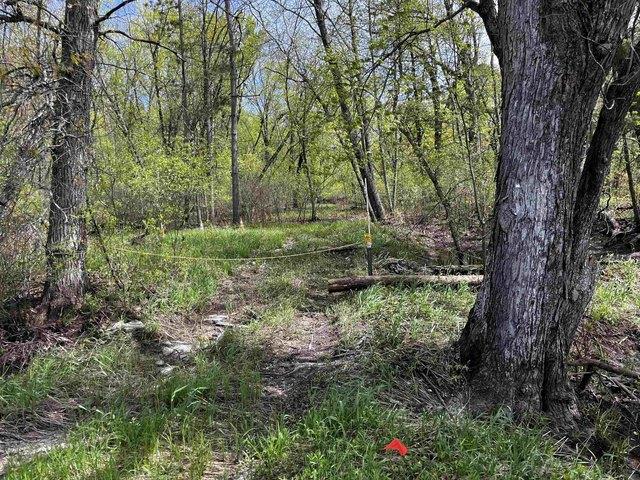Land for sale in Juneau, Wisconsin