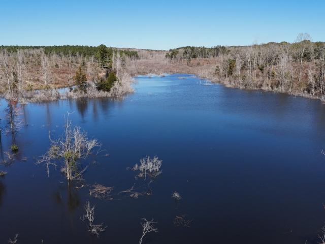 Land for sale in Dale, Alabama
