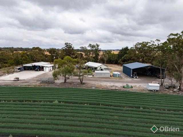 Cottage for sale in Camerons Creek, Victoria