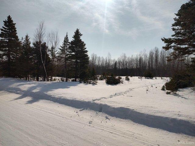 Land for sale in Gulliver, Michigan