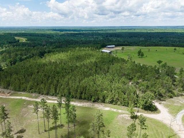 Land for sale in Pace, Florida