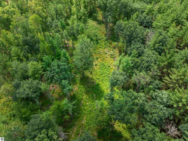 Land for sale in Michigan