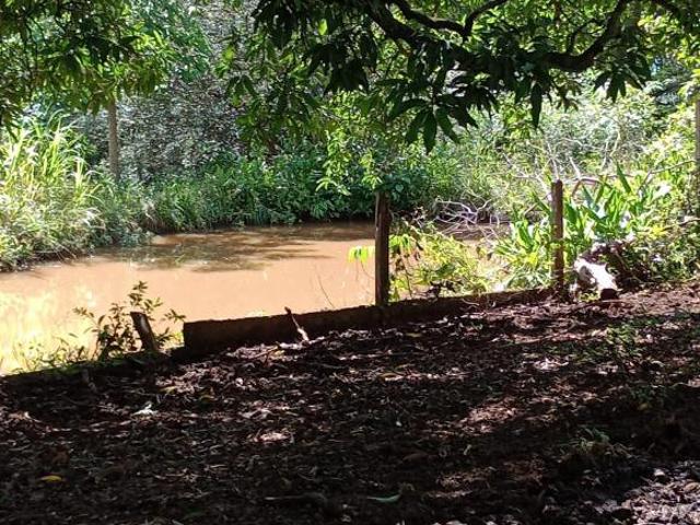 Sítio e chácara venda em Região Imediata de Ribeirão Preto, Região Metropolitana de Ribeirão Preto