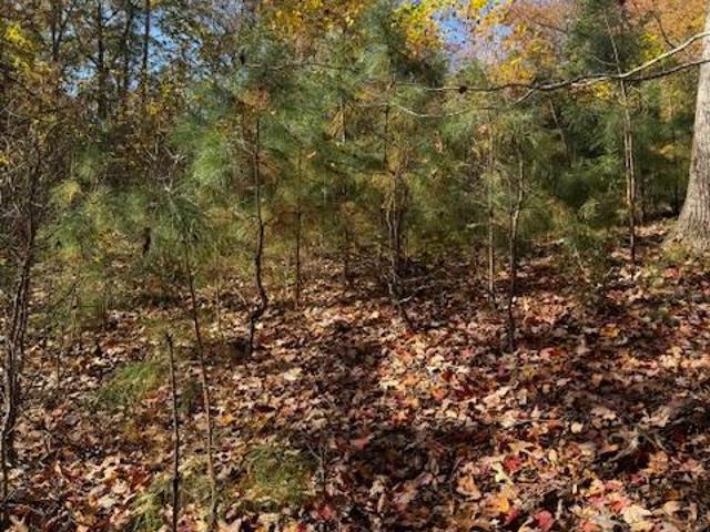 Land for sale in Virginia