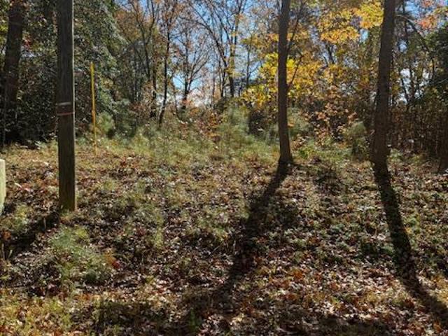 Land for sale in Virginia