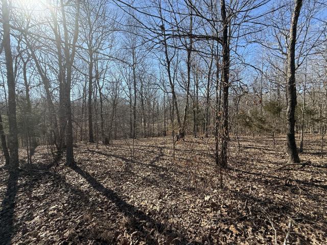 Land for sale in Tennessee
