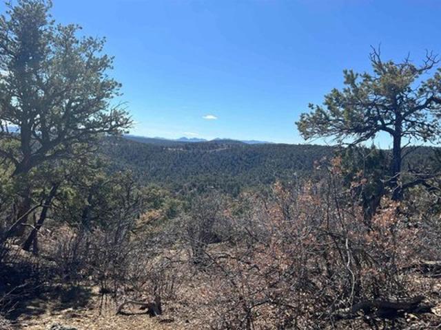 Land for sale in Catron, New Mexico