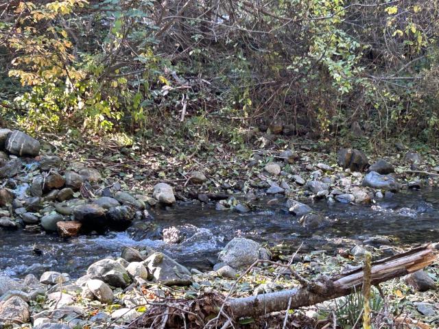 House for sale in Weaverville, California