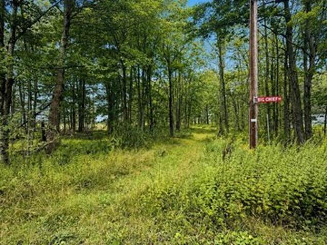 Land for sale in Newfoundland, Pennsylvania