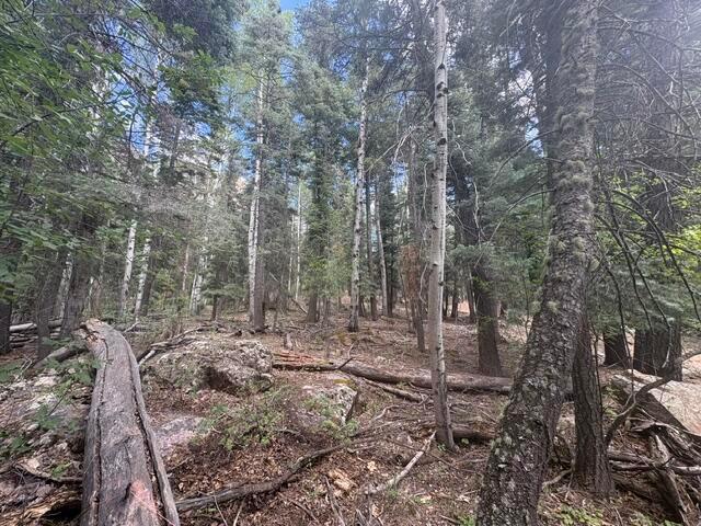 Land for sale in Chama, New Mexico