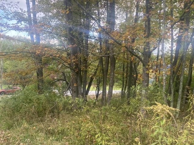 Land for sale in Lake Township, Wayne County