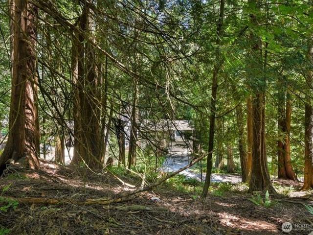 Land for sale in Bellingham, Washington