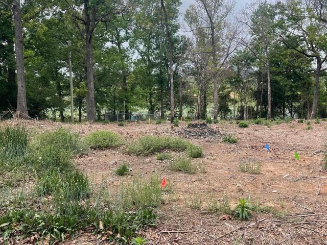 Land for sale in Ark
