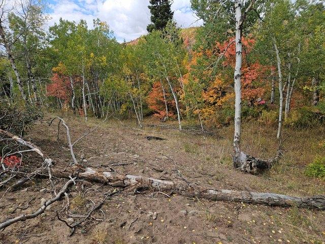 Land for sale in Fairview, Utah