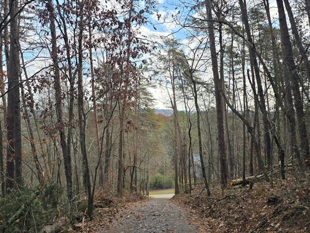 Land for sale in Gordon, Georgia