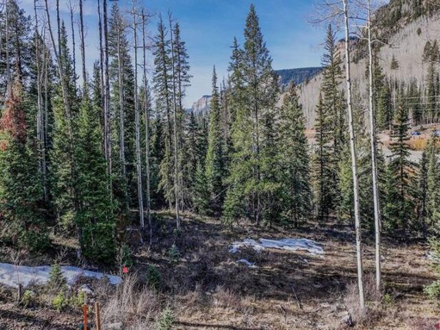 Land for sale in La Plata, Colorado