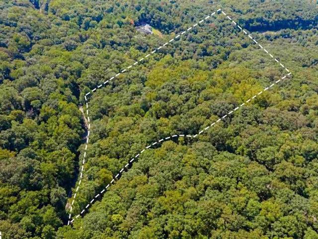 Land for sale in Landrum, Spartanburg County
