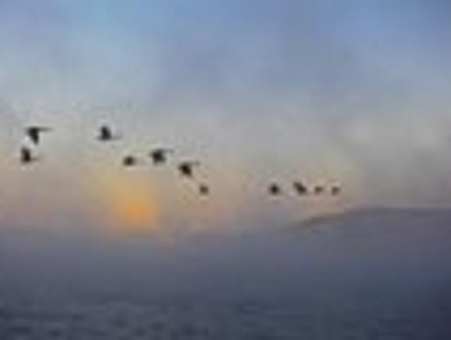 Land for sale in New Hampshire