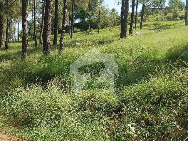 Property for sale in اسلام آباد, زون 1