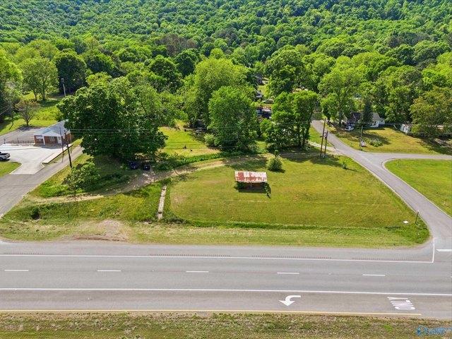 Land for sale in Paint Rock, Alabama