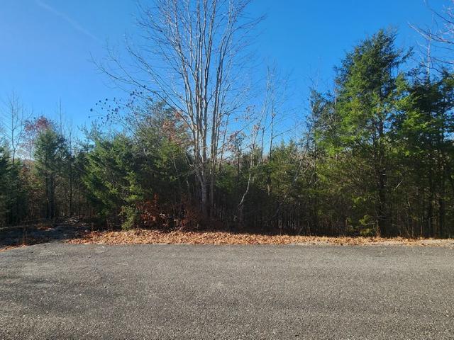 Land for sale in Albany, Clinton County