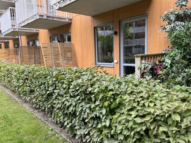 Lägenhet hyra i Helsingborg, Skåne